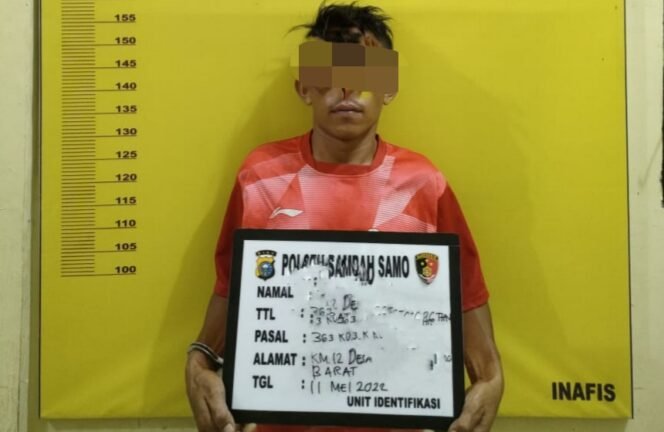 
<span style='color:#ff0000;font-size:14px;'>Hasil Curian Digadaikan ke Warga Sumut</span> <br> Unit Reskrim Polsek Rambah Samo Ringkus Maling Sepeda Motor