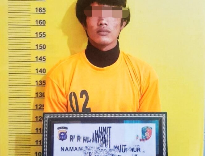 
<span style='color:#ff0000;font-size:14px;'>Bawa Kabur Gadis Dibawah Umur ke Sumut</span> <br> Pria Ini Ditangkap Personil Polsek Tandun