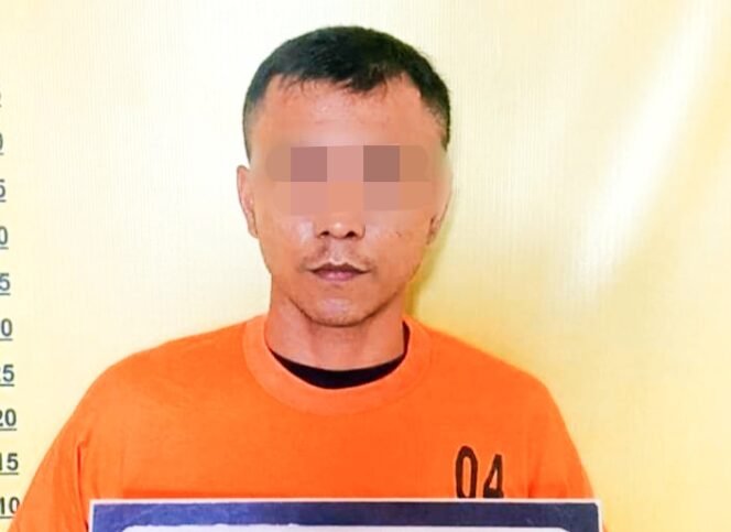 
FOTO : Tersangka AF. Pelaku disikat atas kasus dugaan Tindak Pidana (TP) Pencurian Dengan Kekerasan (Curas) alias Rampok berhasil diringkus Team Resmob Polres Rokan Hulu (Rohul), Jumat (20/5/2022) sekitar pukul 11.00 Wib.