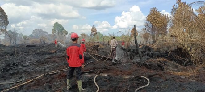 
Tim Gabungan Berjibaku Padamkan Api Dilahan Gambut di Bonai Darusslaam