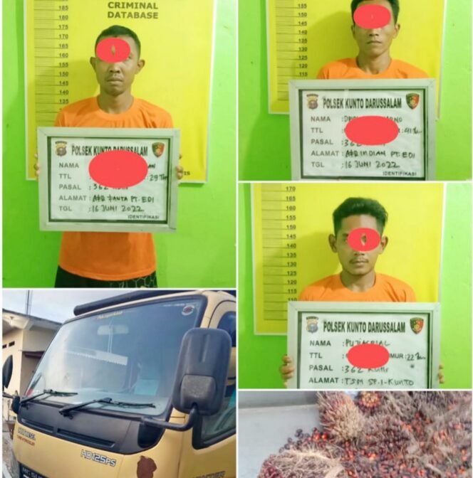 
FOTO : 3 Pelaku dan Barang Bukti dugaan Tindak Pidana (TP) penggelapan Buah Kelapa Sawit milik PT Eka Dura Indonesia (EDI), Kamis (16/6/2022).