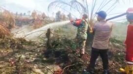FOTO : Tim Gabungan Padamkan Api Karhutla di Rokan Hulu, Minggu (5/6/2022)
