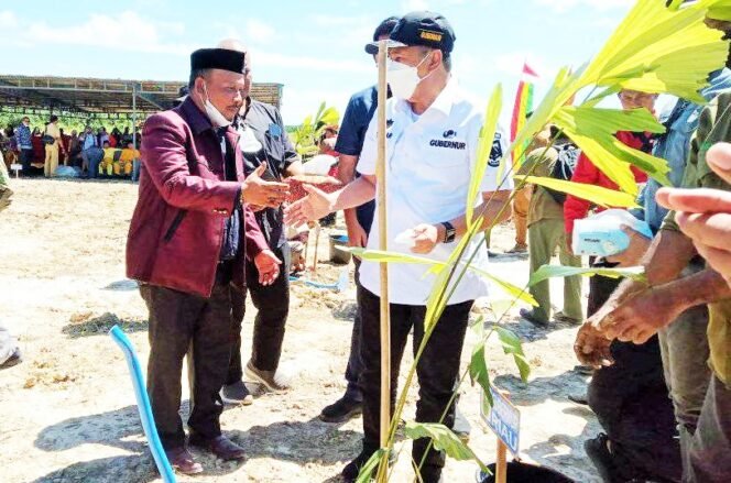 
FOTO : Ketua Gapoktan HKm Rawa Seribu Tambusai Utara, Sariman Siregar SH bersalaman dengan Gubri Syamsuar, disela penanaman bibit aren di Kawasan Gapoktan HKm Rawa Seribu, Senin (4/7/2022)