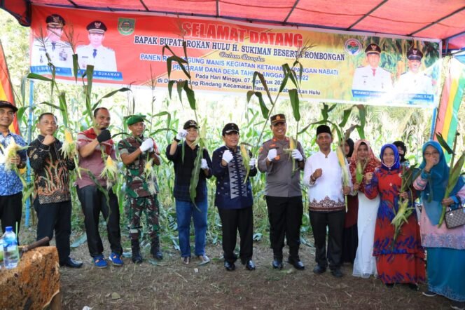 
<span style='color:#ff0000;font-size:14px;'>Manfaatkan Lahan Kosong Dipuji</span> <br> Program Ketahanan Pangan Desa Sialang Rindang, Bupati Sukiman Bersama Masyarakat Ikut Panen Raya Jagung Manis