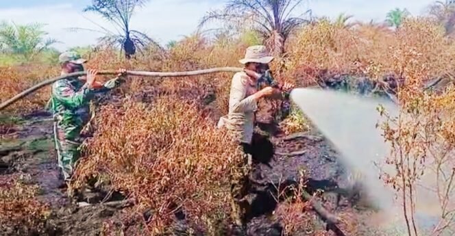 
<span style='color:#ff0000;font-size:14px;'>Diduga Sengaja Dibakar</span> <br> Lahan Gambut Kering Seluas 1 Haktar di Bonai Darussalam Dilalap Si jago Merah