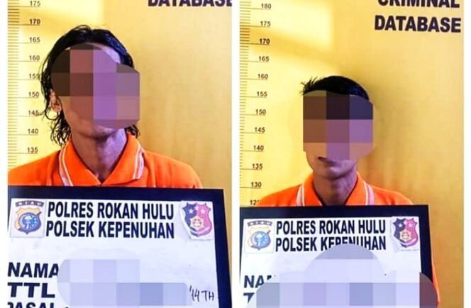 
<span style='color:#ff0000;font-size:14px;'>Operasi Pekat Lancang Kuning 2022</span> <br> Satu Kabur, Dua Pelaku Pencurian TBS Kelapa Sawit di Ringkus Personil Polsek Kepenuhan