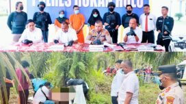 FOTO: Kapolres Rohul AKBP Pangucap Priyo Soegito SIK MH melalui Kasat Reskrim AKP D. Raja Putra Napitupulu SIK MM
pim[in Press Conference terkait penemuan Sesosok Mayat di kebun sawit milik warga di RT 03 RW 10 Desa Kepenuhan Tengah, Kecamatan kepenuhan, Kab. Rokan Hulu (Rohul) Rabu 22 Februari 2023 sekitar pukul pukul 14.00 Wib.