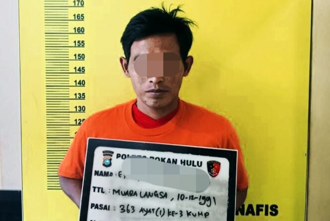 
Curi Sepeda Motor dan HP, Pria Ini di Ringkus Team Resmob Sat Reskrim Polres Rohul