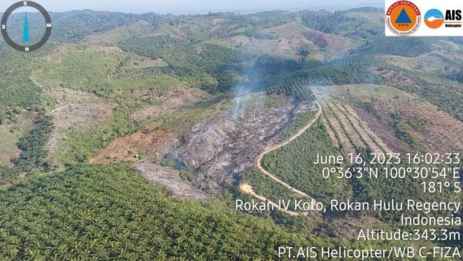 
Kawasan Hutan Lindung Bukit Suligi di Rohul Diduga Dibakar