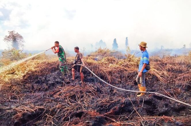 
Puluhan Hektar Lahan Gambut di Rohul Kembali Terbakar