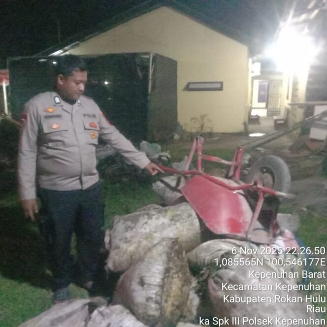 
Polsek Kepenuhan Tangkap Pelaku Pencurian Berondolan Sawit, Amankan 19 Karung Hasil Curian