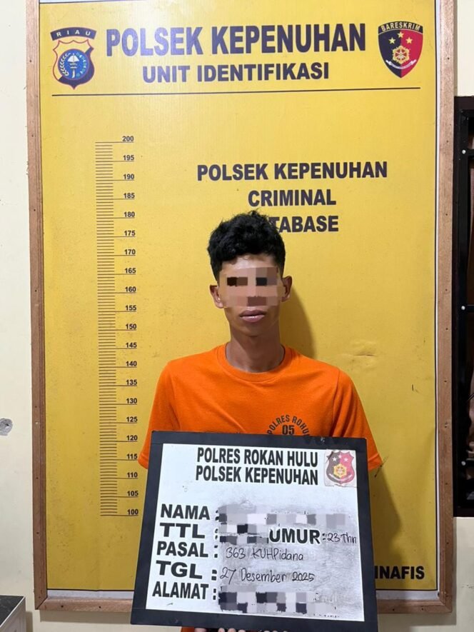 
Kepergok Melangsir Sawit Curian, Residivis Diamankan Warga dan Diserahkan ke Polsek Kepenuhan